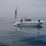 ヤンマーLF23 海月さんの釣果