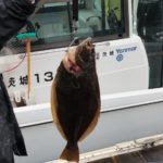 ヤンマーLF26 にっとこ丸さんの釣果