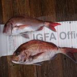 EF-23、梅丸さんの釣果です