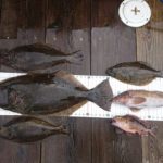 YFR-24さんの釣果です