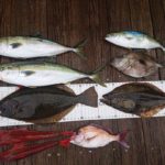 ヤンマー LF-26、にっとこ丸さんの釣果です
