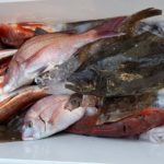 フラワーさんの釣果