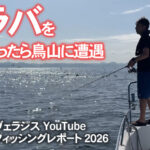 鯛ラバ釣りに行ったら鳥山に遭遇/ヴェラシススタッフフィッシングレポート